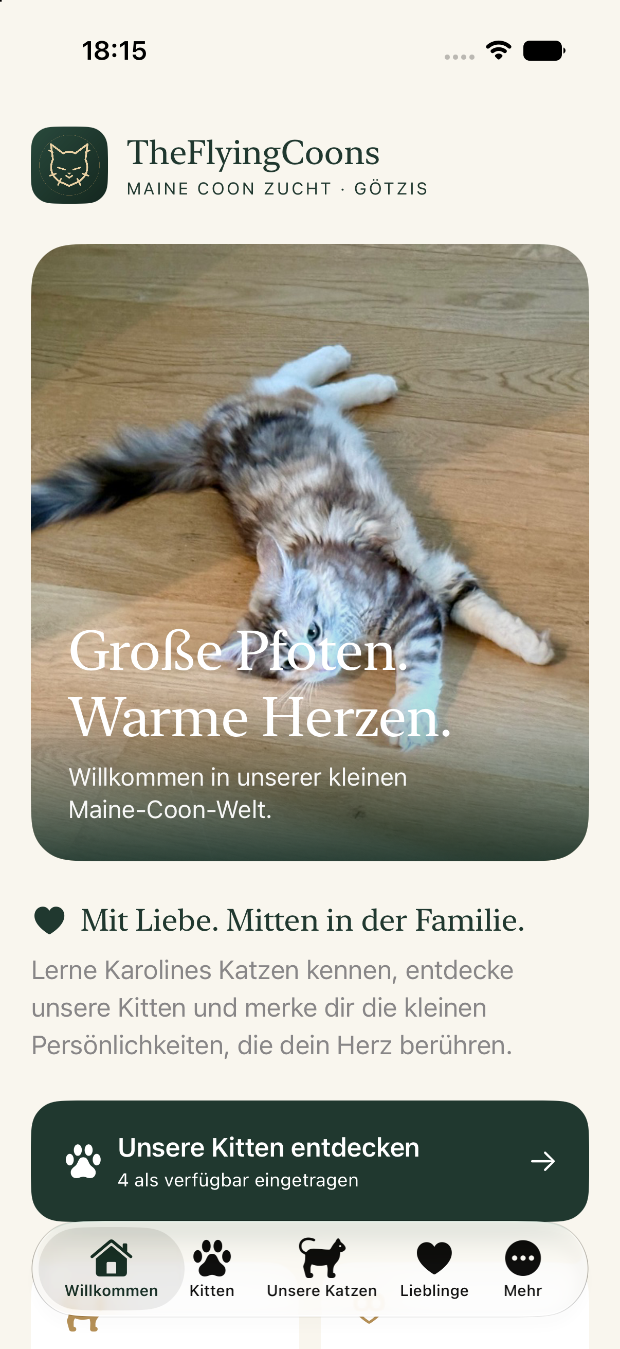 Willkommen-Startseite der TheFlyingCoons-App mit einer Maine Coon und dem aktuellen Kitten-Katalog.